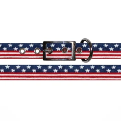 Old Glory Dog Collar